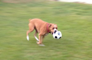 running soccer ball