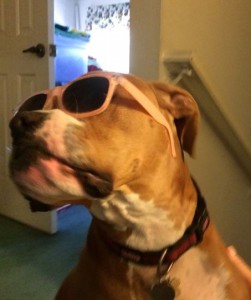 Boxer wears shades