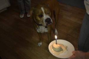 Happy birthday Rocco