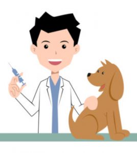 Get your puppy vaccinated